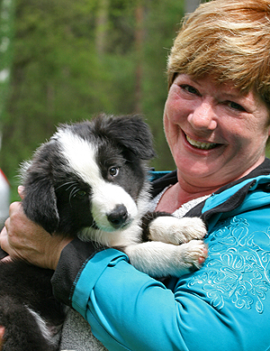 Er ist zu Marianne Jensen und den Border Collies Vomba und Yatzy gezogen und ...